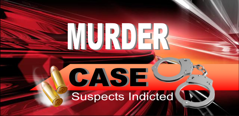 murder case slider