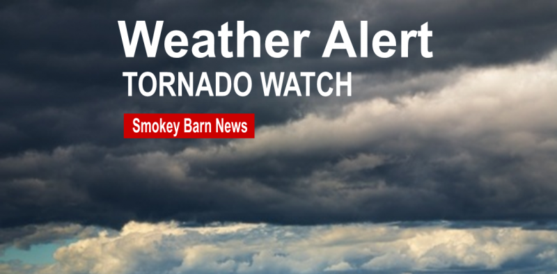 Tornado Watch Issued Until 1:00 AM For Robertson County