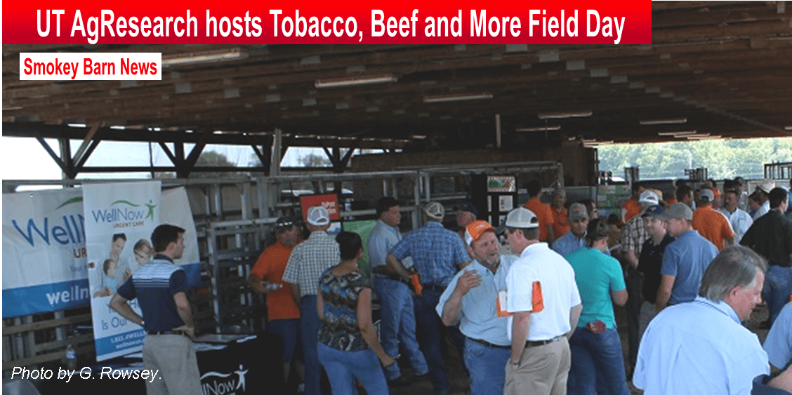 Thursday June 26 – UT AgResearch hosts Tobacco, Beef and More Field Day