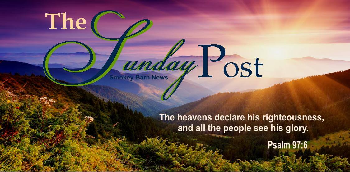 The Sunday Post December 14, 2014