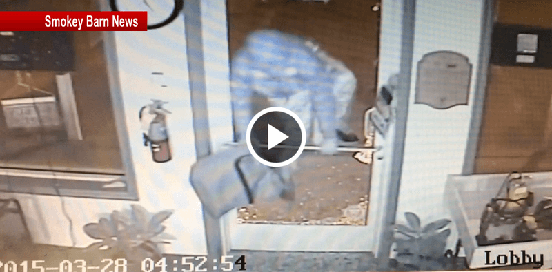 Brazen Burglary Caught On Camera In White House