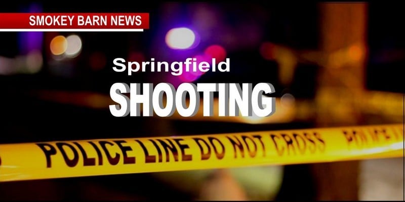 Drive by shooting in springfield