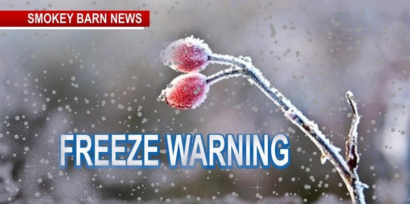 Freeze Warning In Effect from 1 am to 9 am Monday