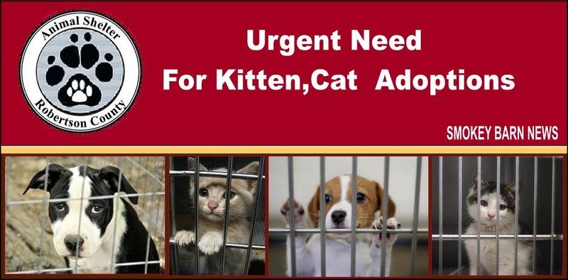 RC Animal Control urgent adoptions needed