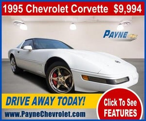 payne 1995 corvette