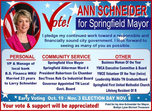 ann-schneider-for-mayor-511x375