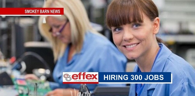 Effex Management Solutions – 300 Positions Open In Springfield