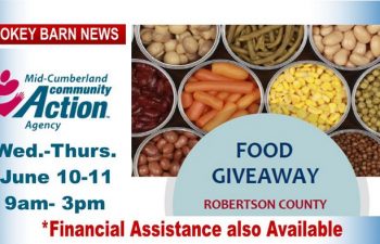 Food Give-Away, Financial Assistance This Wed. & Thurs. (Volunteers Needed)