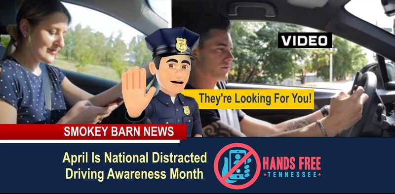 Distracted Drivers Beware, A Special Report - Smokey Barn News