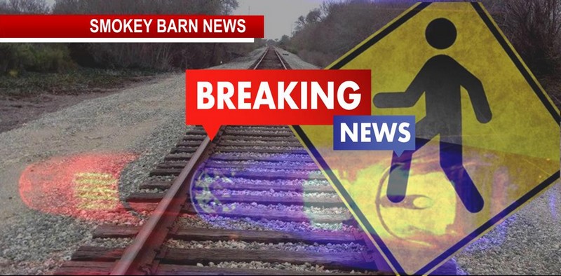 Pedestrian Struck, Killed By Train In Springfield