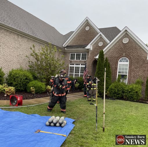 greenbrier fire dogs