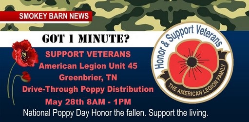 National Poppy Day