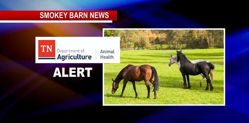 Alert: Potomac Horse Fever Confirmed In Robertson, Wilson, Hawkins & Sullivan Counties