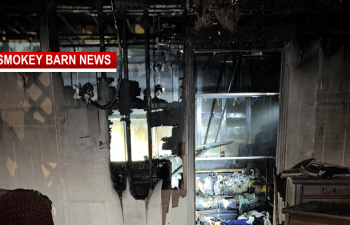 Family Dog Acts Weird, Residents Finds Room On Fire