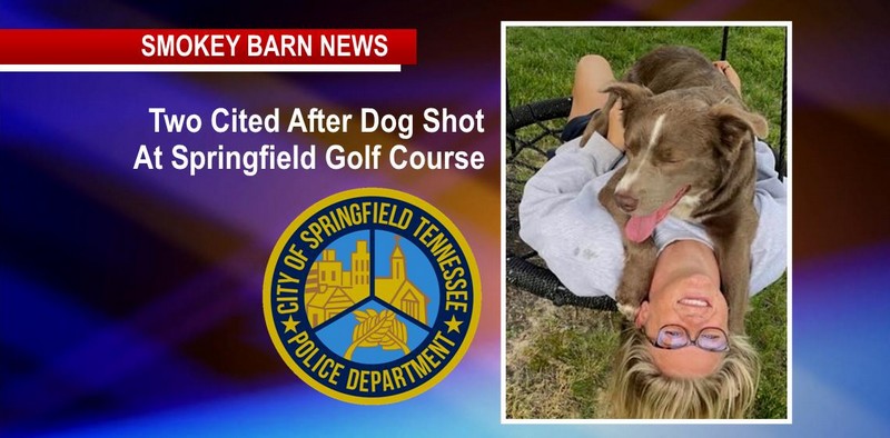 Two Cited After Dog Shot At Springfield Golf Course