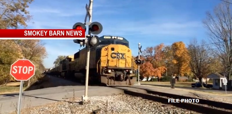 Close Call: Woman Survives Being Run Over by Train In Springfield