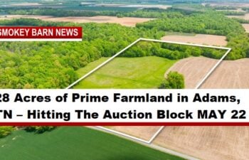28 Acres of Prime Farmland in Adams, TN – Hitting The Auction Block MAY 22