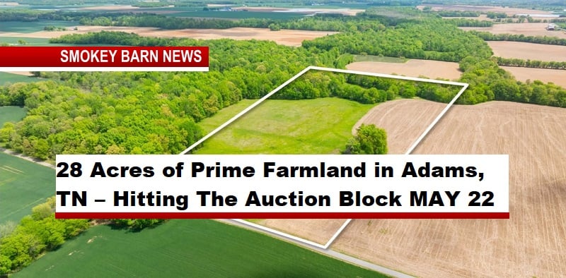 28 Acres of Prime Farmland in Adams, TN – Hitting The Auction Block MAY 22