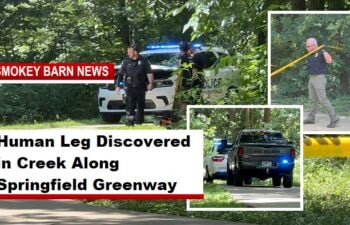 Human Leg Discovered in Creek Along Springfield Greenway