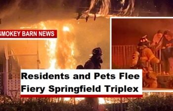 Residents and Pets Flee Fiery Springfield Triplex