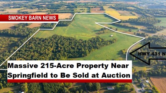 Massive 215-Acre Property Near Springfield to Be Sold at Auction