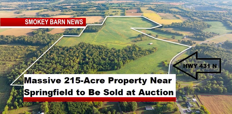 Massive 215-Acre Property Near Springfield to Be Sold at Auction