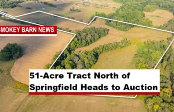 51-Acre Tract North of Springfield Heads to Auction