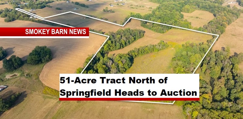 51-Acre Tract North of Springfield Heads to Auction