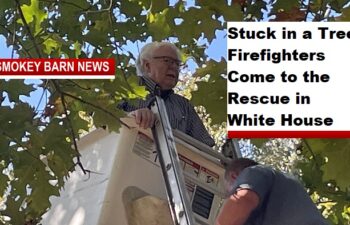 Octogenarian Stuck in a Tree, Firefighters Come to the Rescue in White House