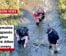 Human Remains Search Expands Along Sulphur Fork Creek After Skull Discovery