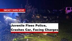 Juvenile Flees Police, Crashes Car, Facing Charges