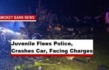 Juvenile Flees Police, Crashes Car, Facing Charges