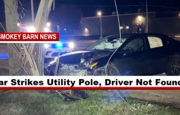 Car Strikes Utility Pole, Driver Not Found
