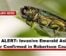 BUG ALERT: Invasive Emerald Ash Borer Confirmed in Robertson County