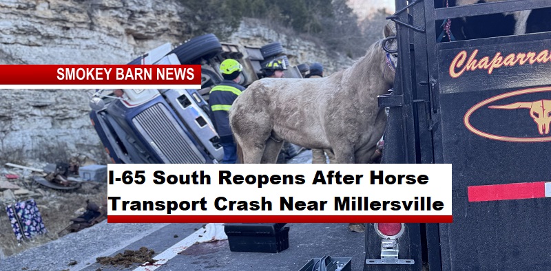 I-65 South Reopens After Horse Transport Crash Near Millersville