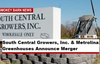 South Central Growers, Inc. & Metrolina Greenhouses Announce Merger, SCG Name To Be Retired
