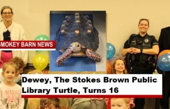 Dewey, The Stokes Brown Public Library Turtle, Turns 16