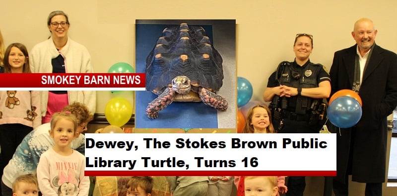 Dewey, The Stokes Brown Public Library Turtle, Turns 16