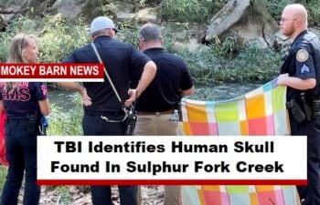 TBI Identifies Human Skull Found In Sulphur Fork Creek