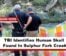 TBI Identifies Human Skull Found In Sulphur Fork Creek