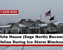 White House (Sage North) Becomes a Lifeline During Ice Storm Blackout