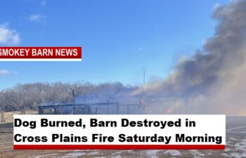 Dog Burned, Barn Destroyed in Cross Plains Fire Saturday Morning