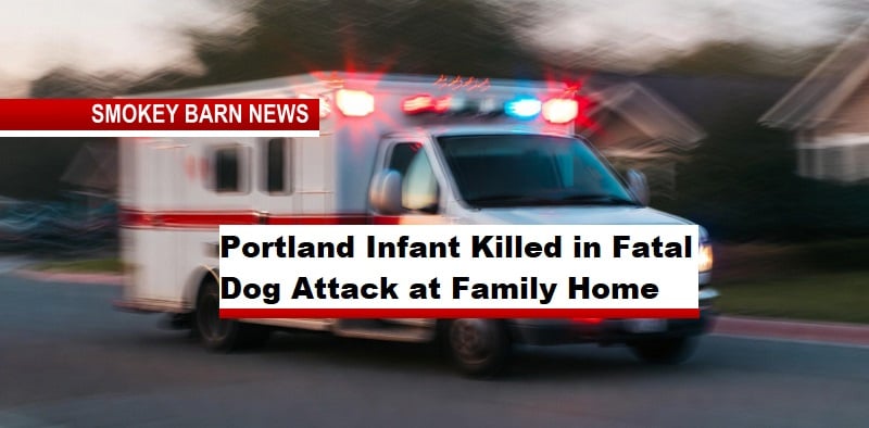 Portland Infant Killed in Fatal Dog Attack at Family Home