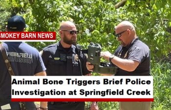 Animal Bone Triggers Brief Police Investigation at Springfield Creek
