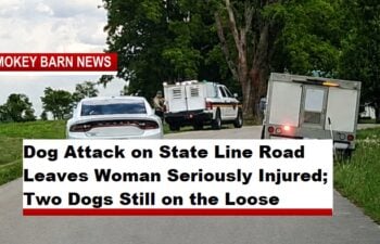 Dog Attack on State Line Road Leaves Woman Seriously Injured; Two Dogs Still on the Loose