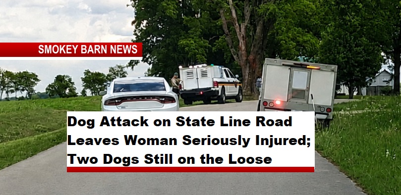 Dog Attack on State Line Road Leaves Woman Seriously Injured; Two Dogs Still on the Loose