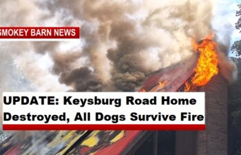 UPDATE: Keysburg Road Home Destroyed By Fire, Dogs Survive