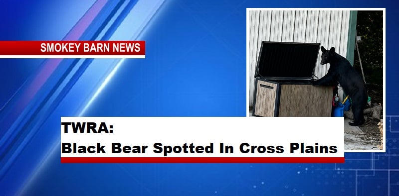 TWRA Confirms Black Bear Sighting In Cross Plains