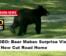 VIDEO: Bear Makes Surprise Visit To New Cut Road Home