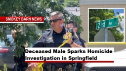 Deceased Male Sparks Homicide Investigation in Springfield